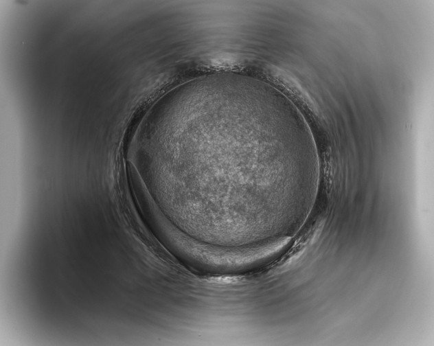 X0000094380593200711021227