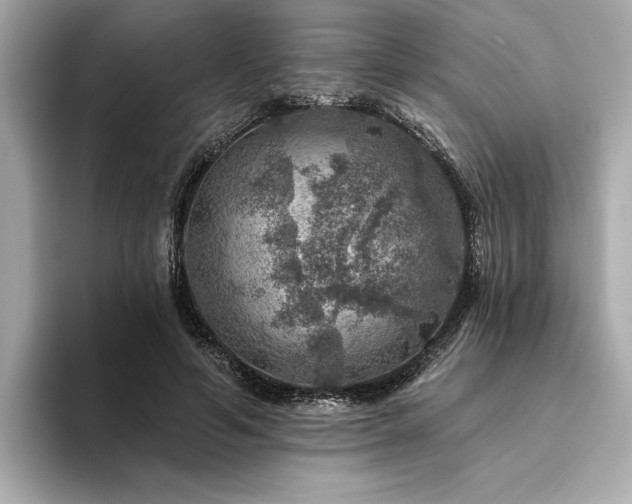 X0000094380594200711021227