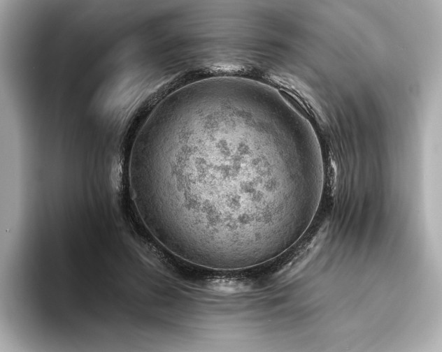 X0000094380596200711021227