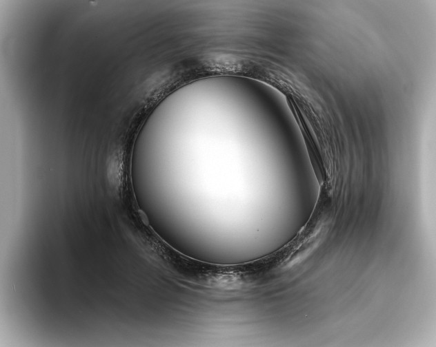 X0000094380600200711021227
