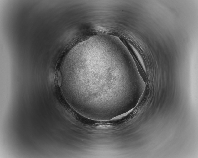 X0000094380601200711021227