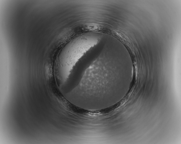 X0000094380606200711021227