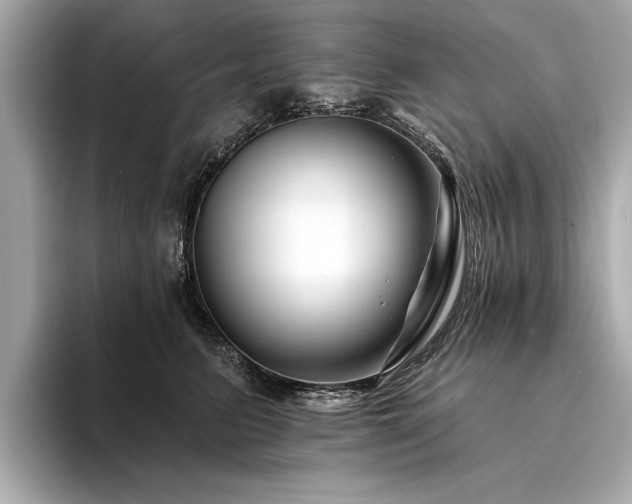 X0000094380615200711021227