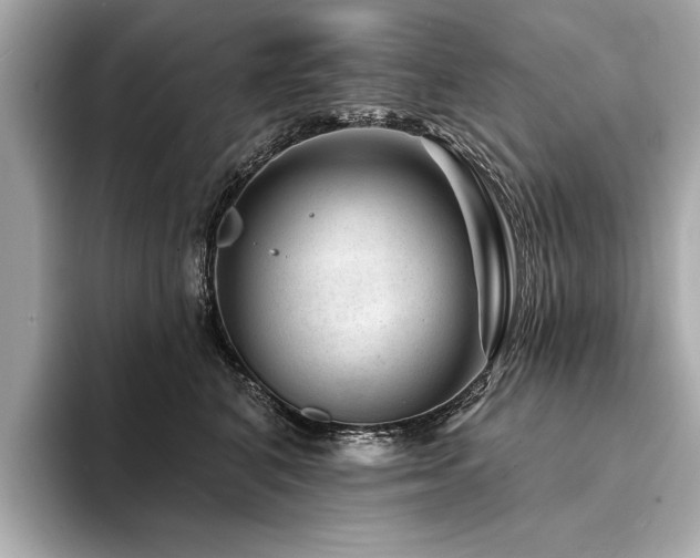 X0000094380616200711021227
