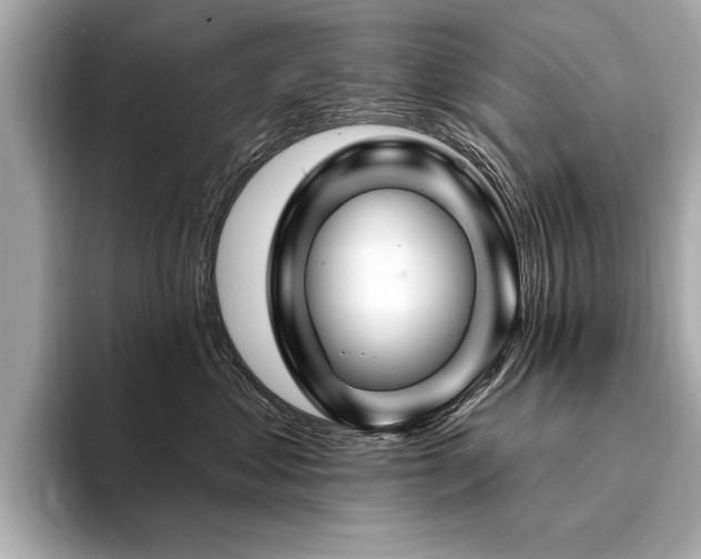 X0000094380621200711021227