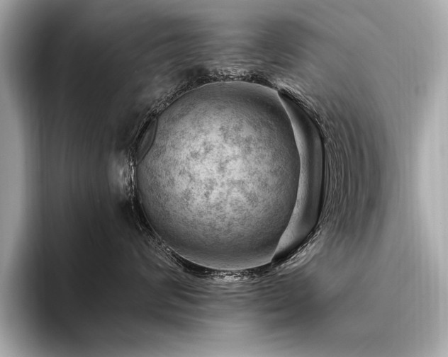 X0000094380624200711021227
