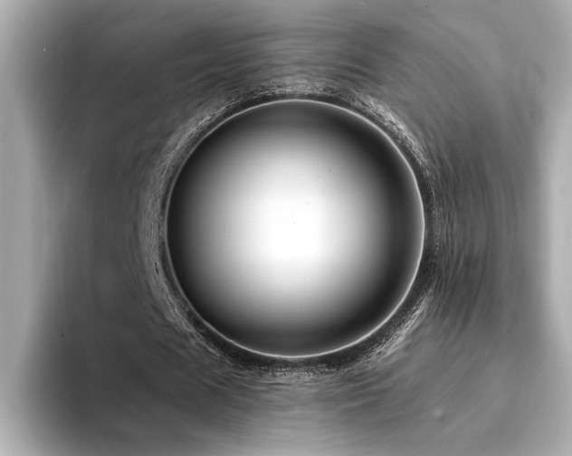 X0000094380625200711021226