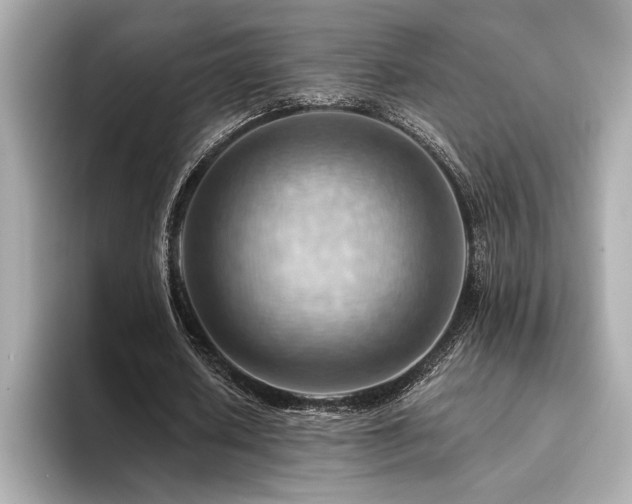 X0000094380626200711021226