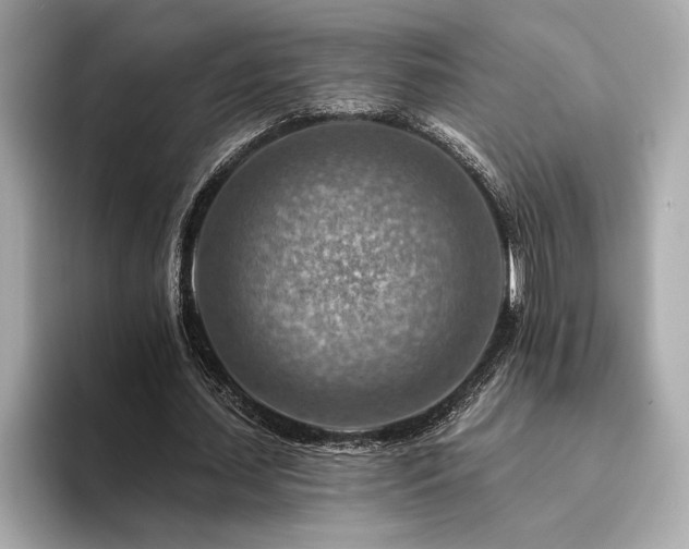 X0000094380627200711021226