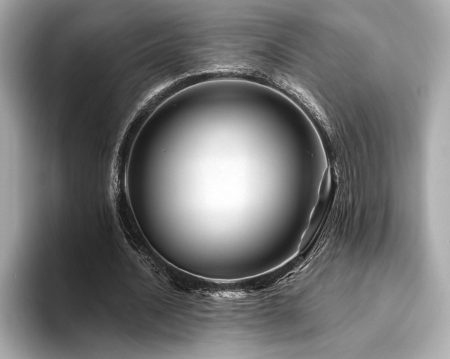 X0000094380628200711021226