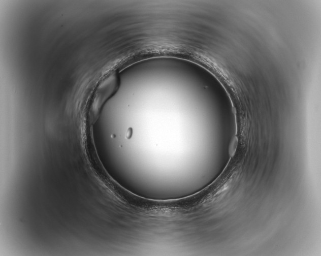 X0000094380629200711021226