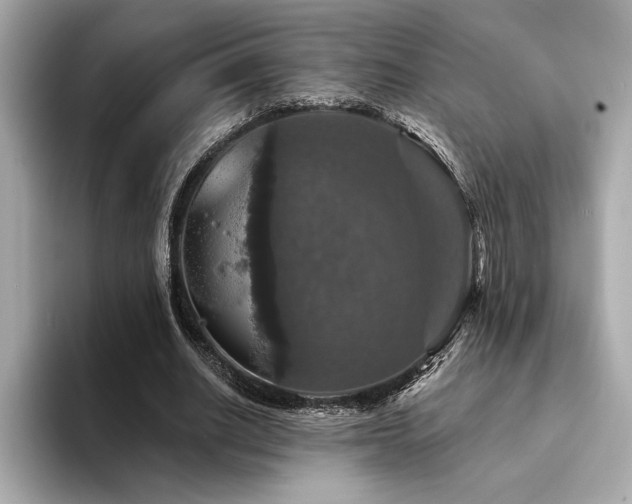 X0000094380630200711021226