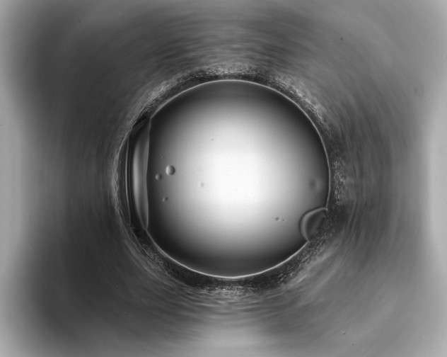 X0000094380631200711021226
