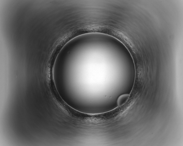 X0000094380633200711021227