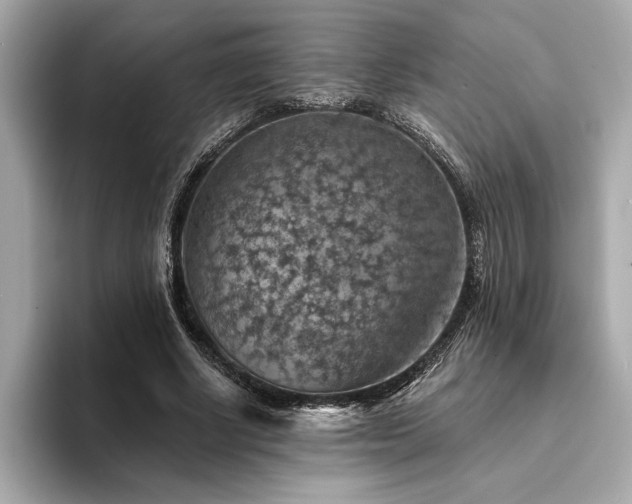 X0000094380634200711021227