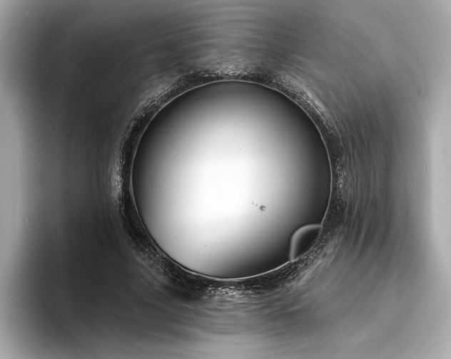 X0000094380635200711021227