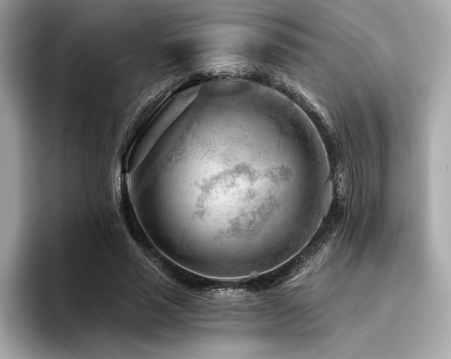 X0000094380637200711021227