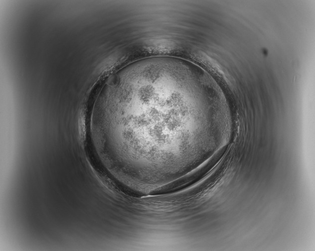 X0000094380638200711021227