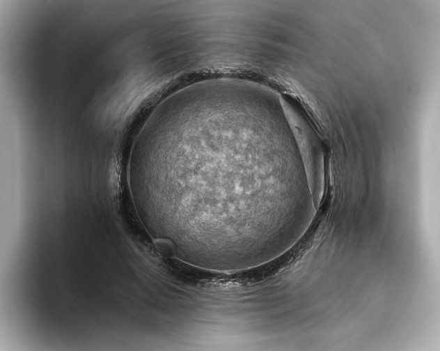X0000094380640200711021227