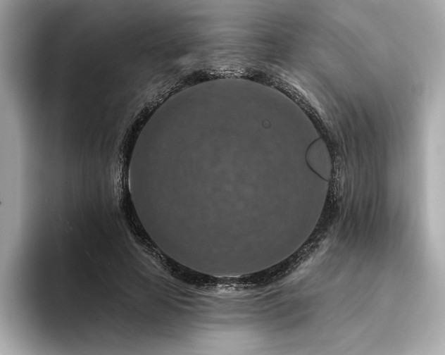 X0000094380641200711021227