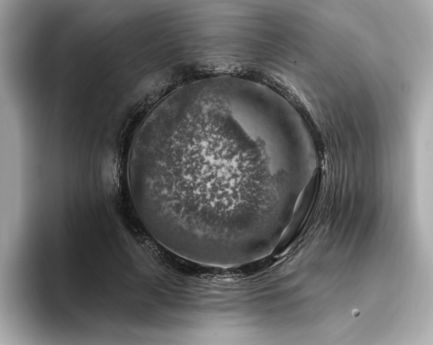 X0000094380643200711021227
