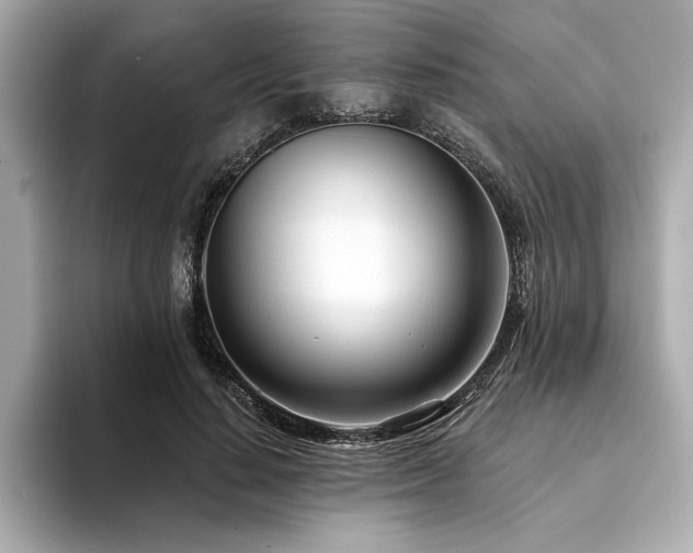X0000094380644200711021227