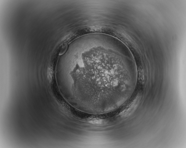 X0000094380648200711021227