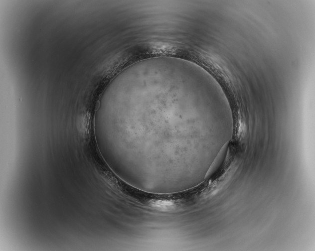 X0000094380649200711021227