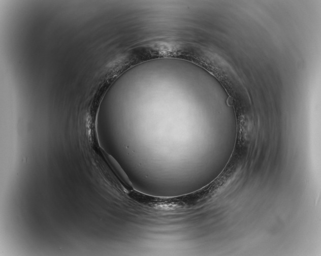 X0000094380650200711021227