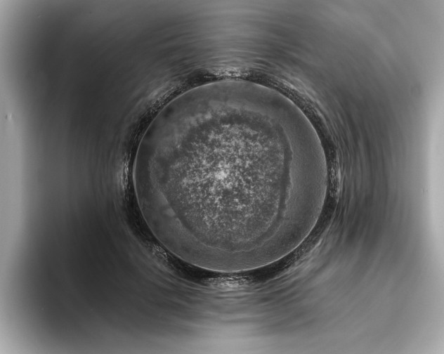 X0000094380652200711021227