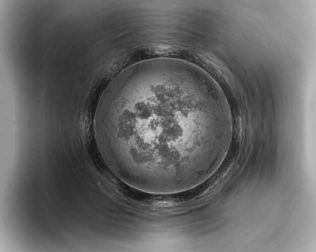 X0000094380653200711021227