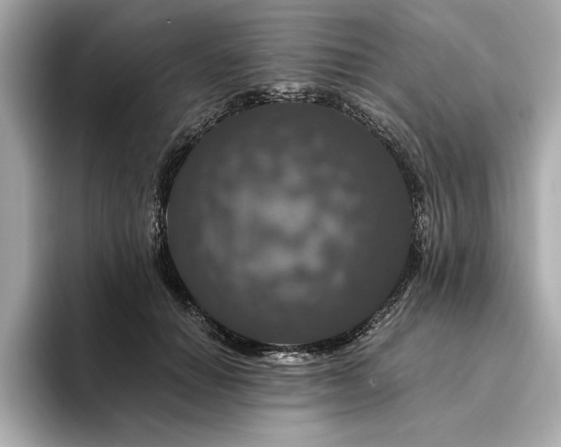 X0000094380654200711021227