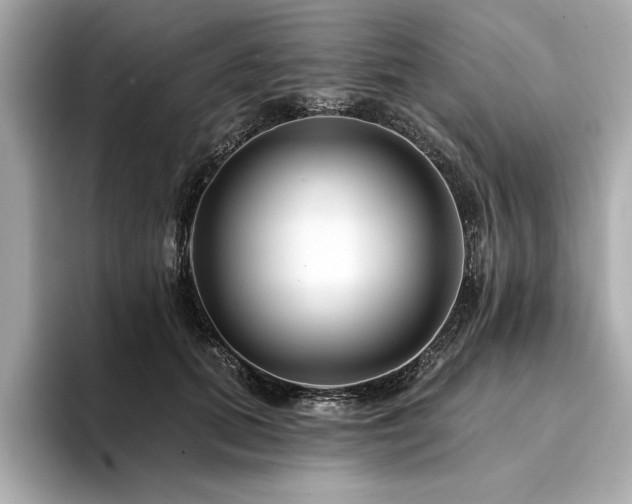 X0000094380655200711021227