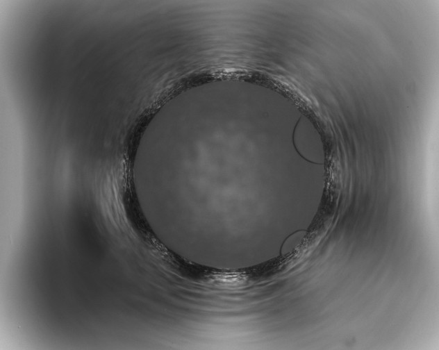 X0000094380659200711021227