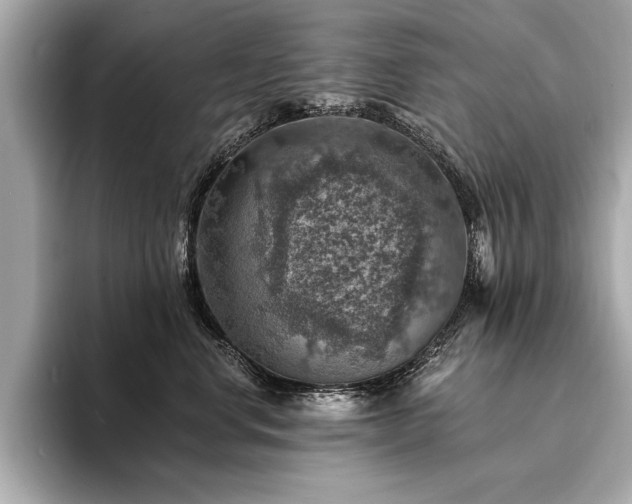 X0000094380668200711021227