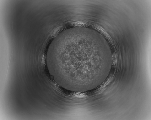 X0000094380669200711021227