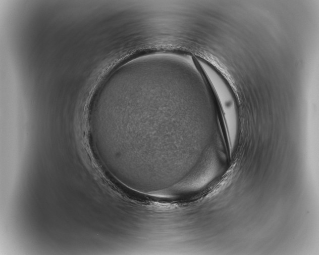 X0000094380673200711021226
