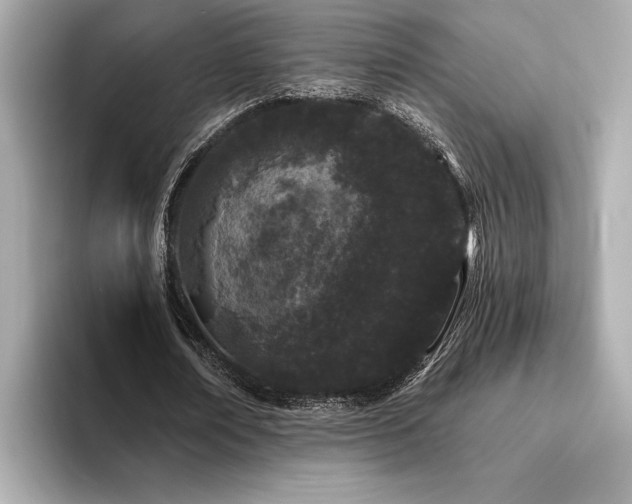 X0000094380674200711021226