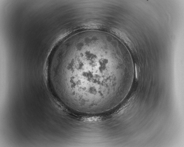 X0000094380675200711021226