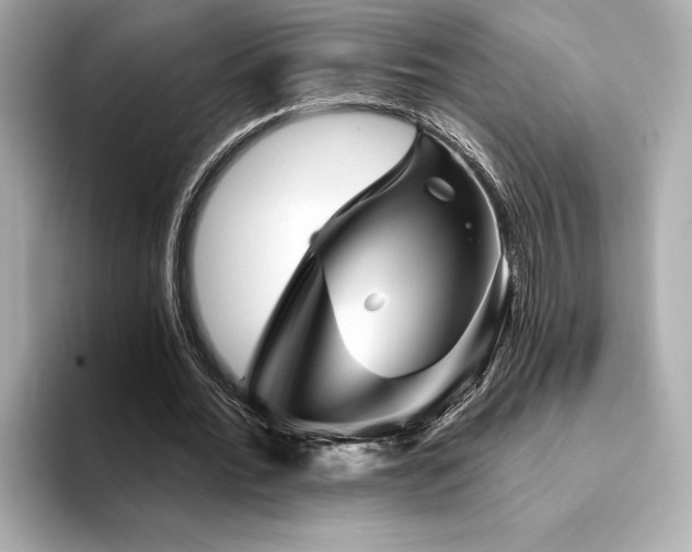 X0000094380676200711021226