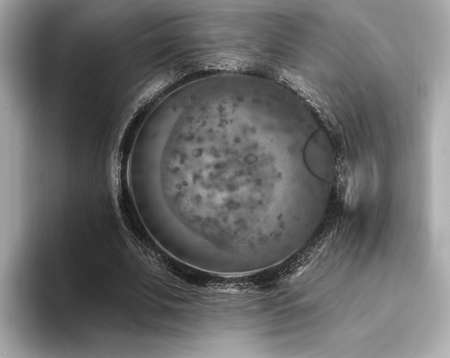 X0000094380679200711021226