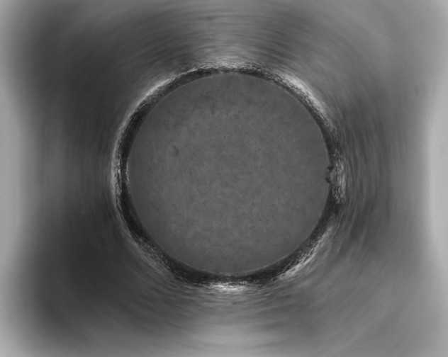 X0000094380680200711021226