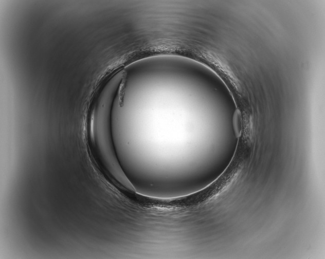 X0000094380681200711021226