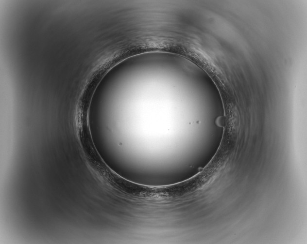 X0000094380683200711021226