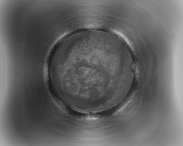 X0000094380684200711021226