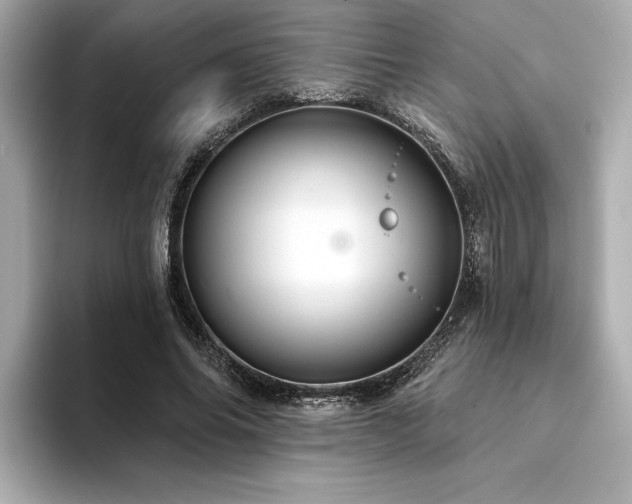 X0000094380686200711021226