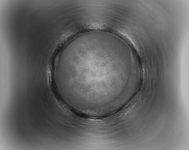 X0000094380688200711021226