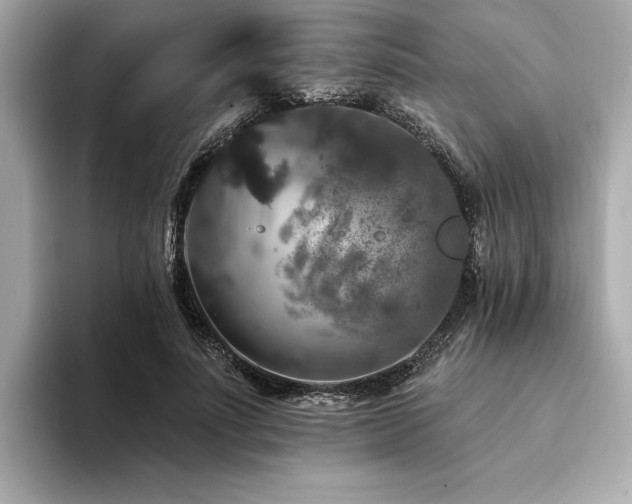 X0000094380691200711021226