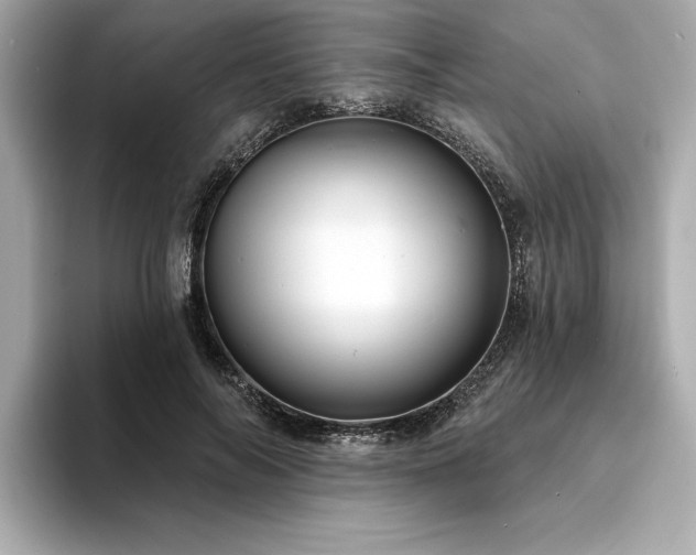 X0000094380694200711021226