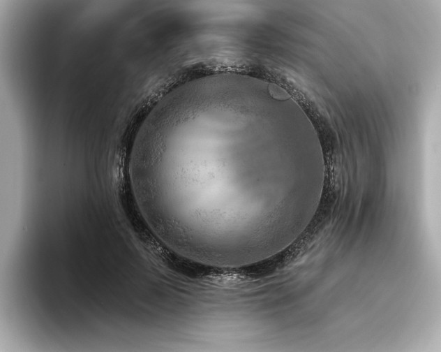 X0000094380695200711021226